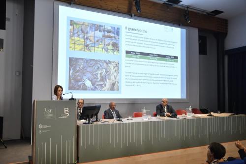 conferenza0278